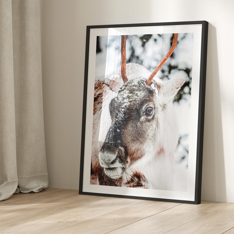 Plakat w ramie 30x40 - Renifer w Zimowej Krainie - renifer, zima - rama czarna
