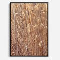 Obraz w ramie 70x100 - Mistrzowskie suche trawy - suche, trawy - rama czarna