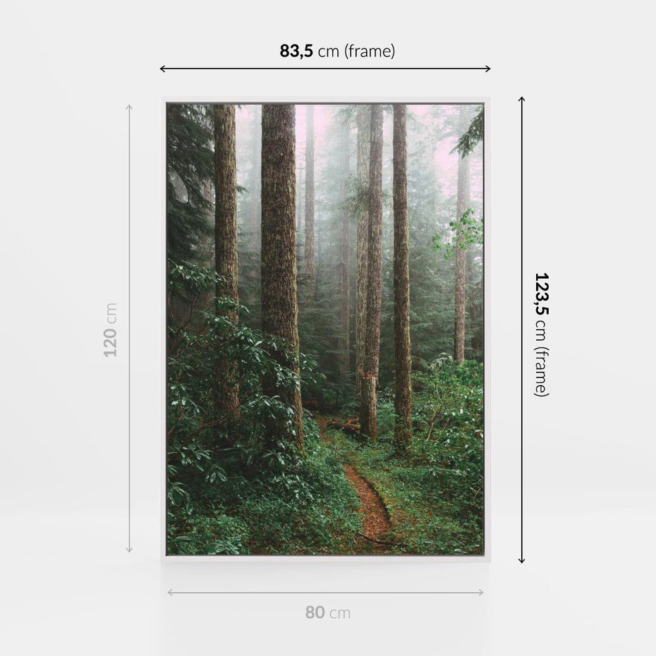 Obraz w ramie 80x120 - Mgliste Marzenia - artystyczna fotografia, las - rama biała