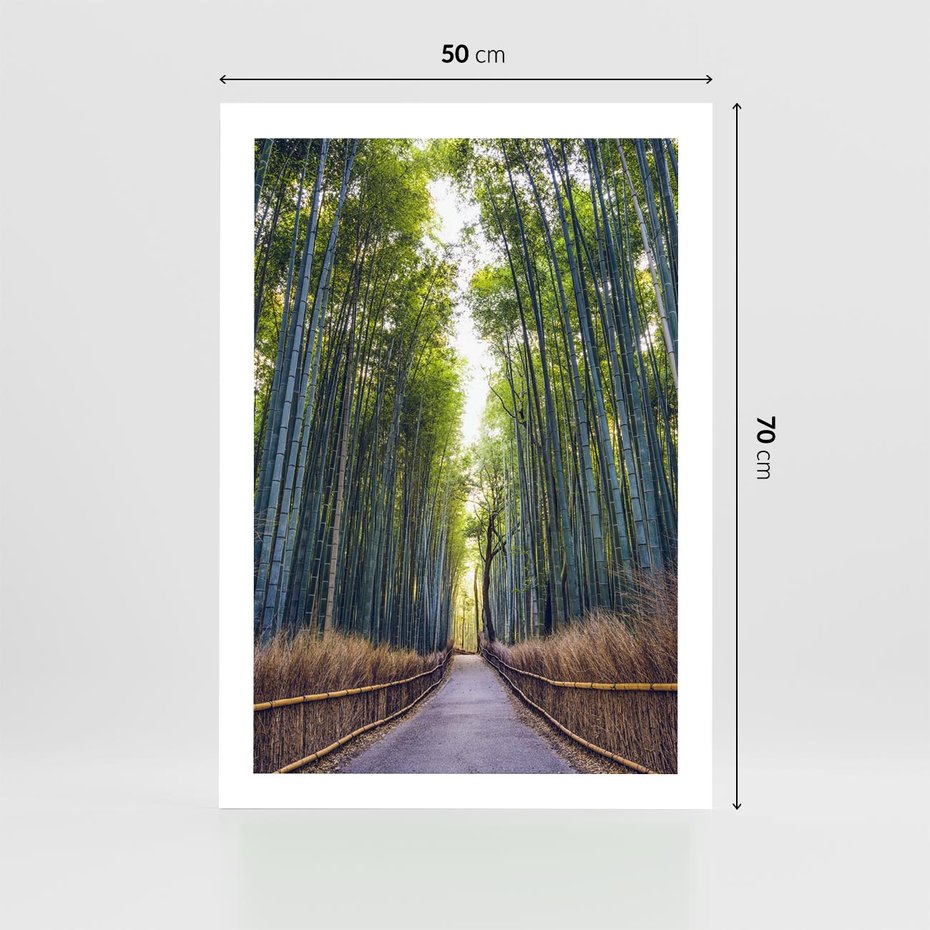 Plakat bez ramy 50x70 - Urokliwa dróżka w lesie - las, dróżka