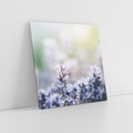 Obraz na płótnie 70x70 - Delikatna Uroda Natury - wrzosy, fiolet