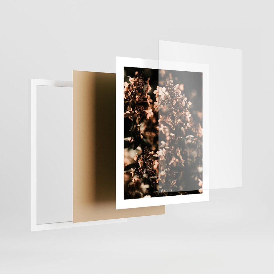 Plakat w ramie 40x50 - Sucha Kompozycja Kwiatów - suche kwiaty hortensji - rama biała