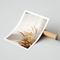 Plakat bez ramy 30x40 - Swobodne trawy boho - boho, suche