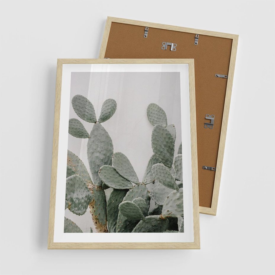 Plakat w ramie 50x70 - Imponujący Kaktus - duży kaktus, opuncja - rama drewno
