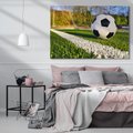 Obraz na płótnie 70x50 - Pasja na Boisku: Piłka Nożna - boisko, piłka