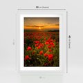 Plakat w ramie 30x40 - Maki przy zachodzie słońca - maki, zachód - rama biała