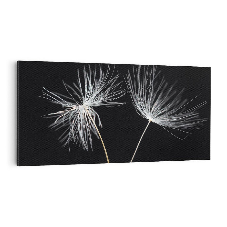 Obraz na płótnie 120x60 - Delikatność Wiatru - dmuchawce, makro