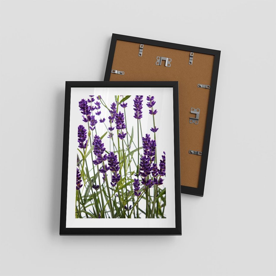 Plakat w ramie 30x40 - Fioletowa harmonia lawendy - lawenda, fiolet - rama czarna