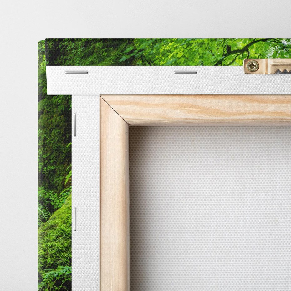 Obraz na płótnie 70x50 - Las przy rzece: potężny wodospad - las, rzeka