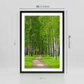 Plakat w ramie 50x70 - Spacer Ścieżką w Urokliwym Lesie - las, ścieżka - rama czarna