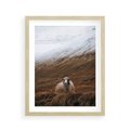 Plakat w ramie 40x50 - Owiecka panorama - góry, owca - rama drewno