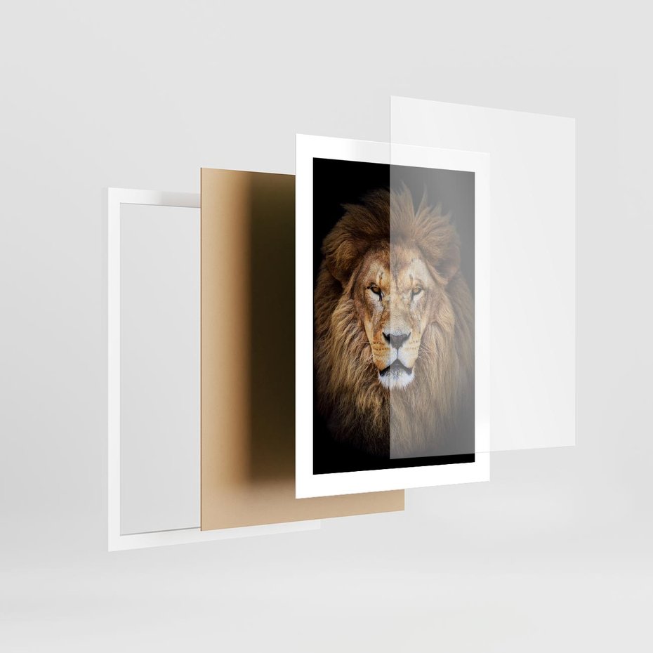 Plakat w ramie 30x40 - Król zwierząt w majestatycznym stylu - lew, król - rama biała