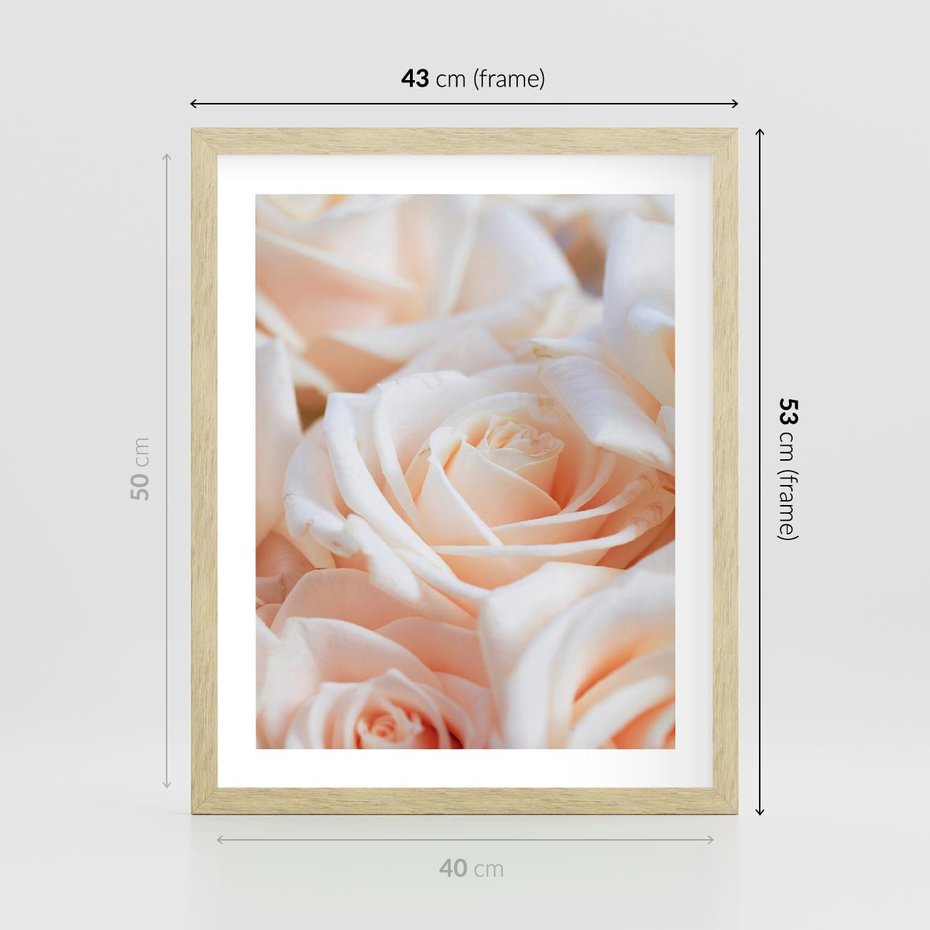 Plakat w ramie 40x50 - Aromatyczna Piękność - płatki herbacianej róży, kwiaty - rama drewno