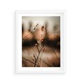 Plakat w ramie 40x50 - Jarzębina w Pejzażu - jesień, gałązka - rama biała