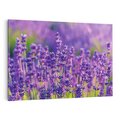 Obraz na płótnie 100x70 - Zaklęta lawenda - lawenda, kwiaty