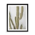 Plakat w ramie 50x70 - Kaktus w Stylu Boho - kaktus, roślina tropikalna - rama czarna