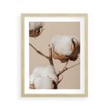 Plakat w ramie 40x50 - Bawełniana melancholia - bawełna, suche - rama drewno