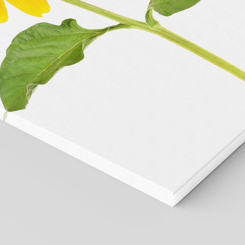 Obraz na płótnie 70x100 - Słoneczniki - Kwiaty Radości - słonecznik, kwiat