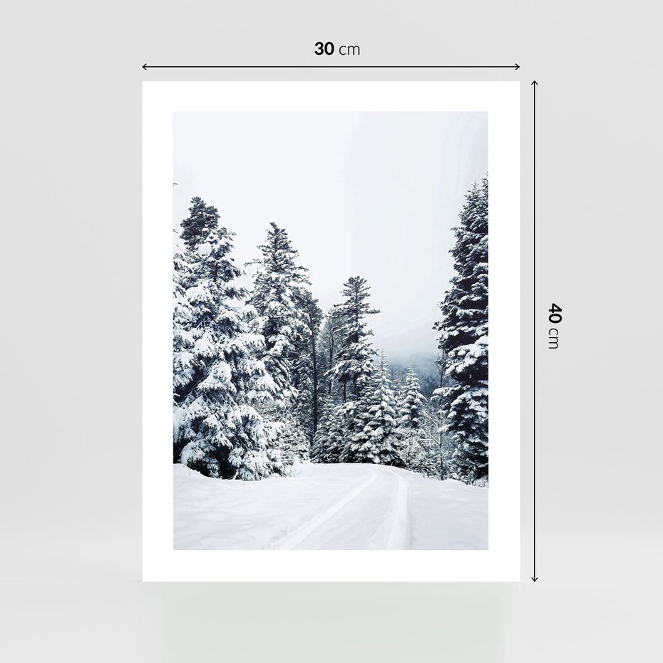 Plakat bez ramy 30x40 - Zimowy Las Pod Kołdrą - las, zima