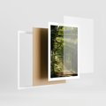 Plakat w ramie 50x70 - harmonia natury - las, drzewa - rama biała