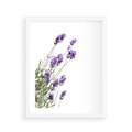 Plakat w ramie 40x50 - Delikatny Urok - lawenda, kwiaty - rama biała