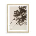 Plakat w ramie 50x70 - Tajemniczy Cień Traw - cień traw, na ścianie - rama drewno