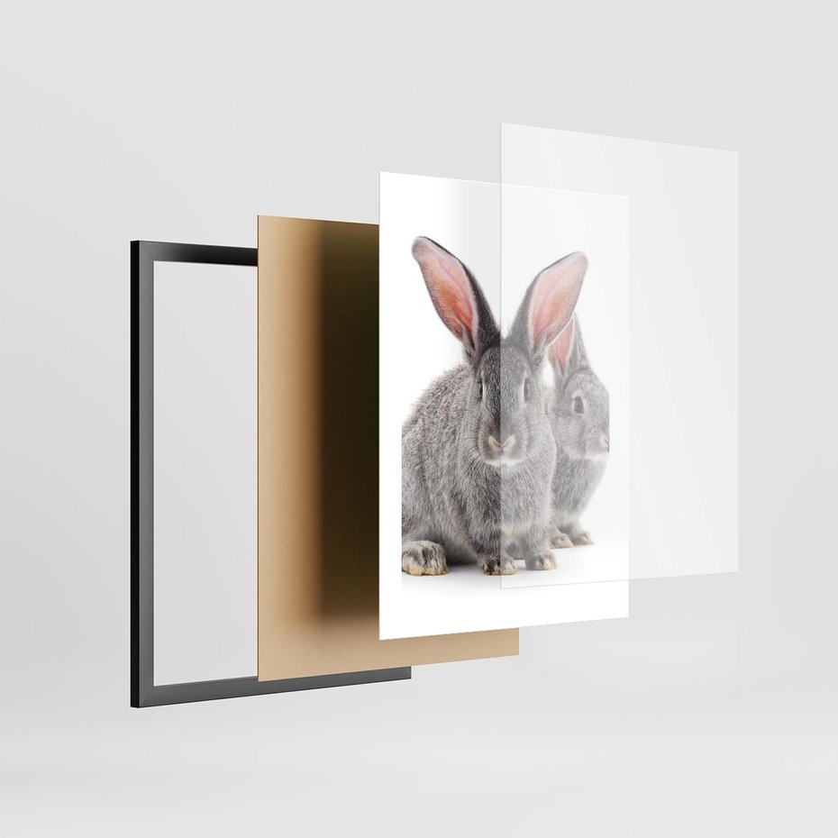 Plakat w ramie 30x40 - Uroczy królik wśród natury - królik, zając - rama czarna