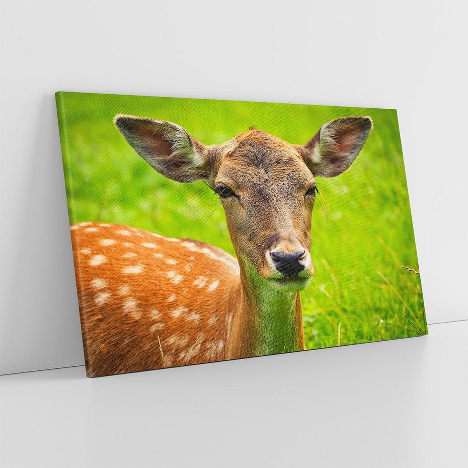 Obraz na płótnie 100x70 - Sarna na łące - sarna, zwierzę