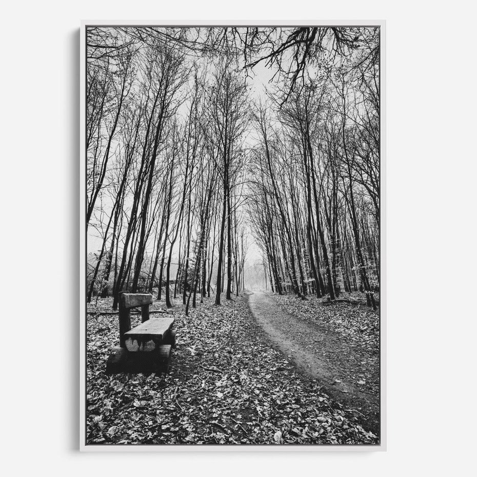 Obraz w ramie 50x70 - Spadające Liście - czarno białe zdjecie, park - rama biała