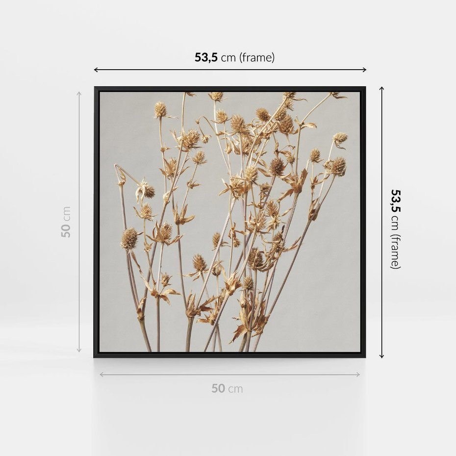 Obraz w ramie 50x50 - Delikatne gipsówki - gipsówka, suche - rama czarna
