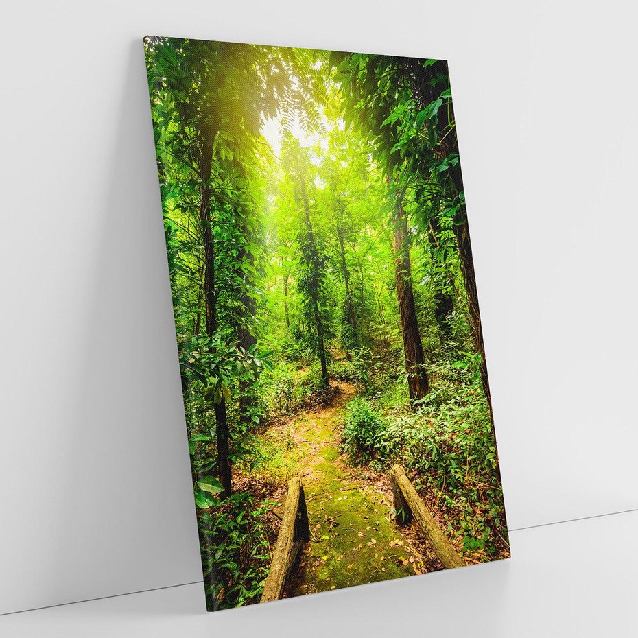 Obraz na płótnie 50x70 - Współistnienie z naturą - drzewa, las