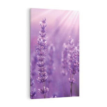 Obraz na płótnie 80x120 - Fioletowa harmonia lawendy - lawenda, fiolet