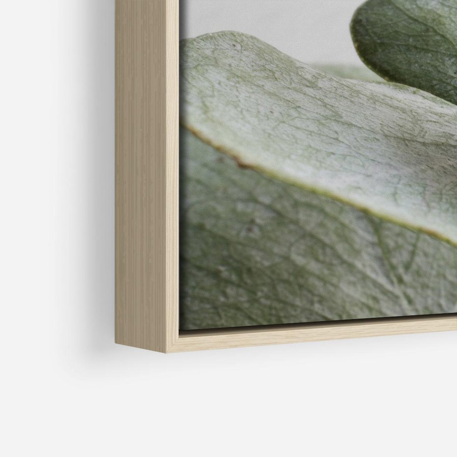 Obraz w ramie 80x80 - Eukaliptusowa zieleń - eukaliptus, zielone - rama drewno