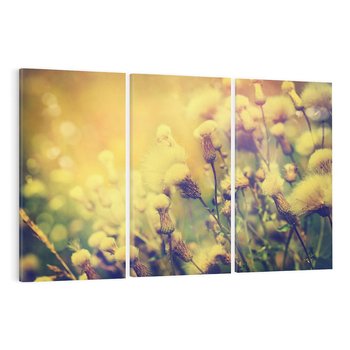 Obraz na płótnie 120x80 - Natura w pełnym rozkwicie - łąka, natura