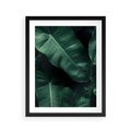 Plakat w ramie 40x50 - Liście Bananowca - minimalizm, zielone liście bananowca - rama czarna
