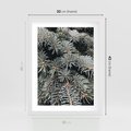 Plakat w ramie 30x40 - Zima na Gałęziach - sosnowe gałęzie, igły - rama biała