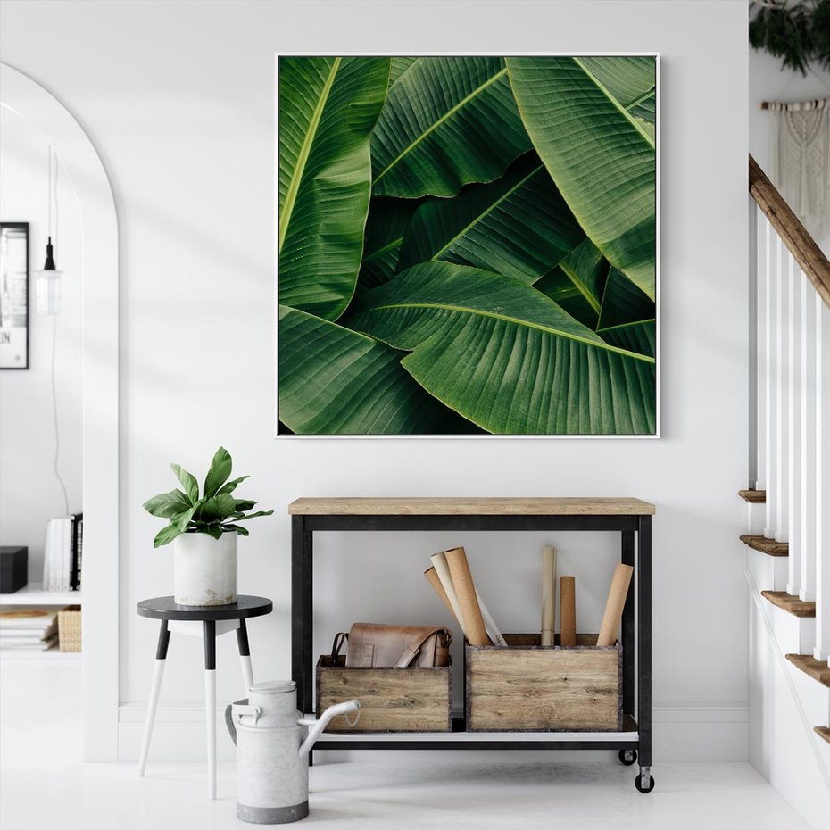 Obraz w ramie 50x50 - Zaklęta roślinna ekspresja - liście bananowca, gęsto ułożone - rama biała