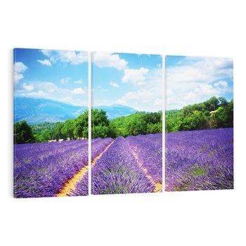 Obraz na płótnie 120x80 - Prowansalska Lawenda - lawenda, prowansja