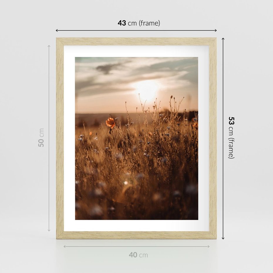 Plakat w ramie 40x50 - Zachwyt zachodem słońca na łące - zachód, słońca - rama drewno