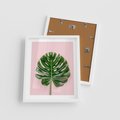 Plakat w ramie 40x50 - Monstera w Różowym Świetle - liść monstery, różowe tło - rama biała
