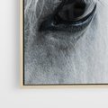 Obraz w ramie 50x50 - Oko Mocy - czarno białe zdjęcie, zbliżenie makro na oko konia - rama drewno