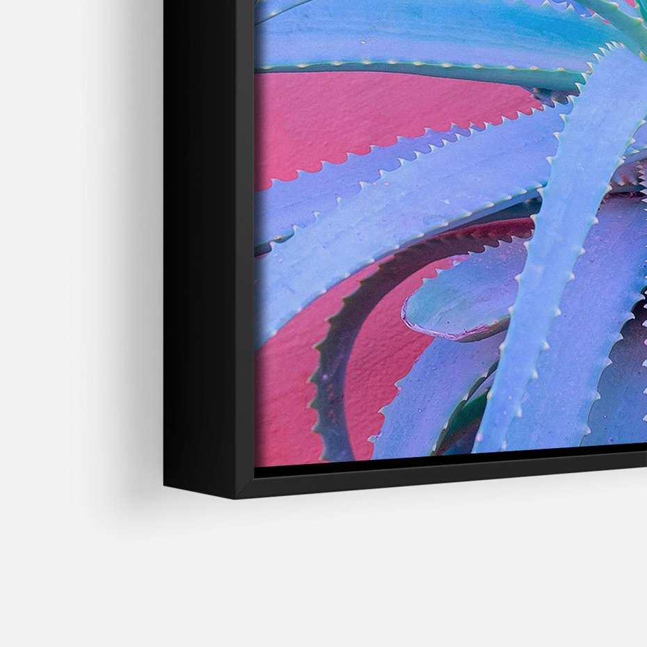 Obraz w ramie 50x70 - Piękno Pustyni - kaktusy, liście - rama czarna