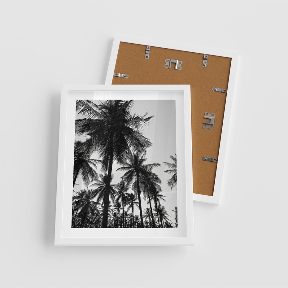 Plakat w ramie 40x50 - Mono Tropiki - palmy, drzewa palmowe - rama biała