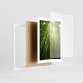 Plakat w ramie 30x40 - Siła Natury - drzewa, las - rama biała