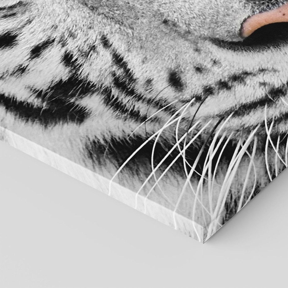 Obraz na płótnie 120x80 - Magia Białego Tygrysa - biały, tygrys