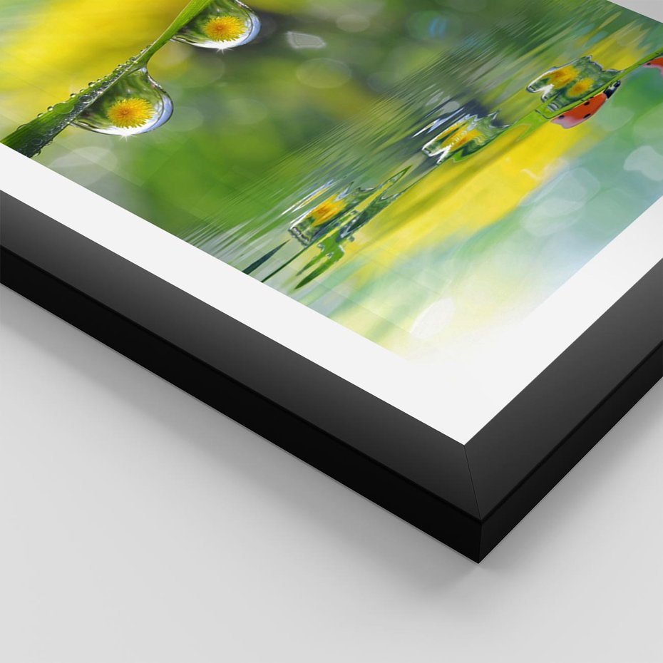 Plakat w ramie 40x50 - Deszczowa Biedronka - biedronka, deszcz - rama czarna