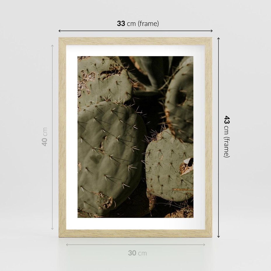 Plakat w ramie 30x40 - Urok Egzotyki - kaktusy, boho - rama drewno