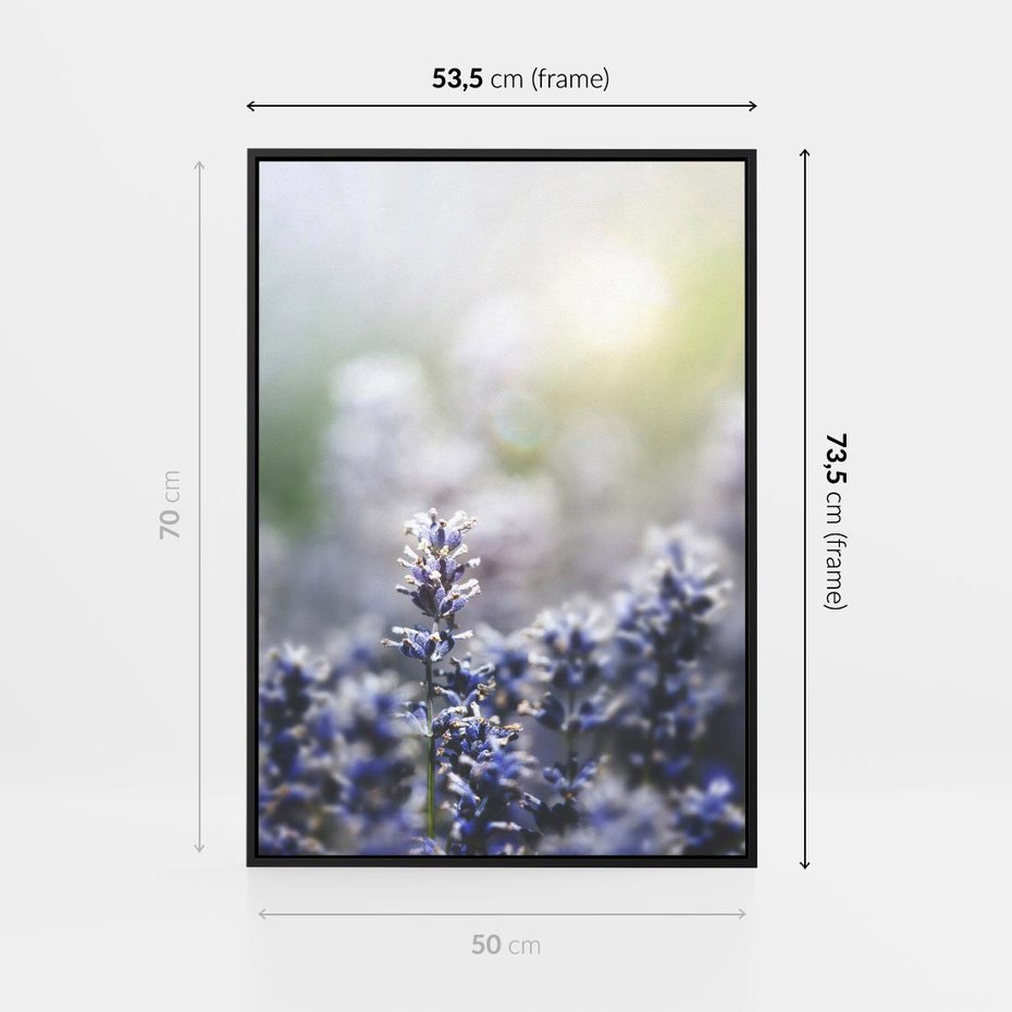 Obraz w ramie 50x70 - Delikatna Uroda Natury - wrzosy, fiolet - rama czarna