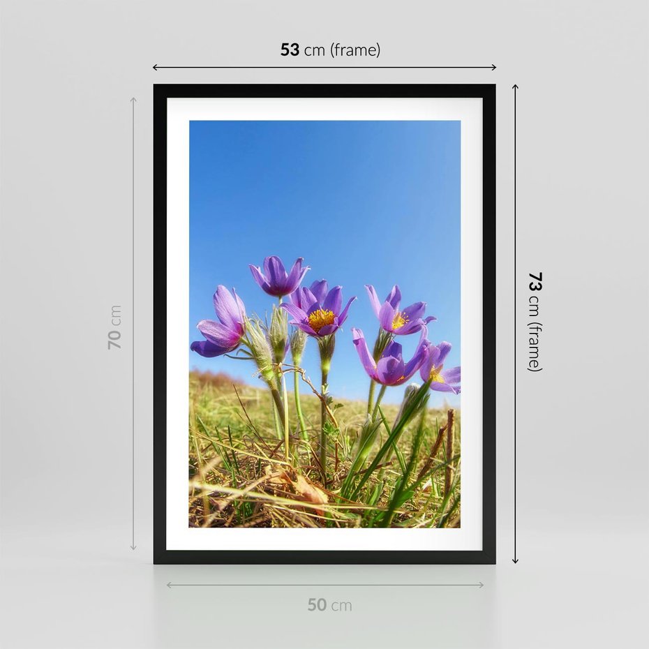 Plakat w ramie 50x70 - Kwiatowa siła łąki - kwiaty, łąka - rama czarna