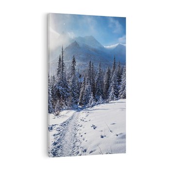 Obraz na płótnie 50x70 - Zimowe góry w lesie - góry, zima